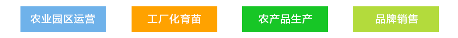 石拐網(wǎng)站業(yè)務(wù)范圍940.png 石拐網(wǎng)站業(yè)務(wù)范圍940.png