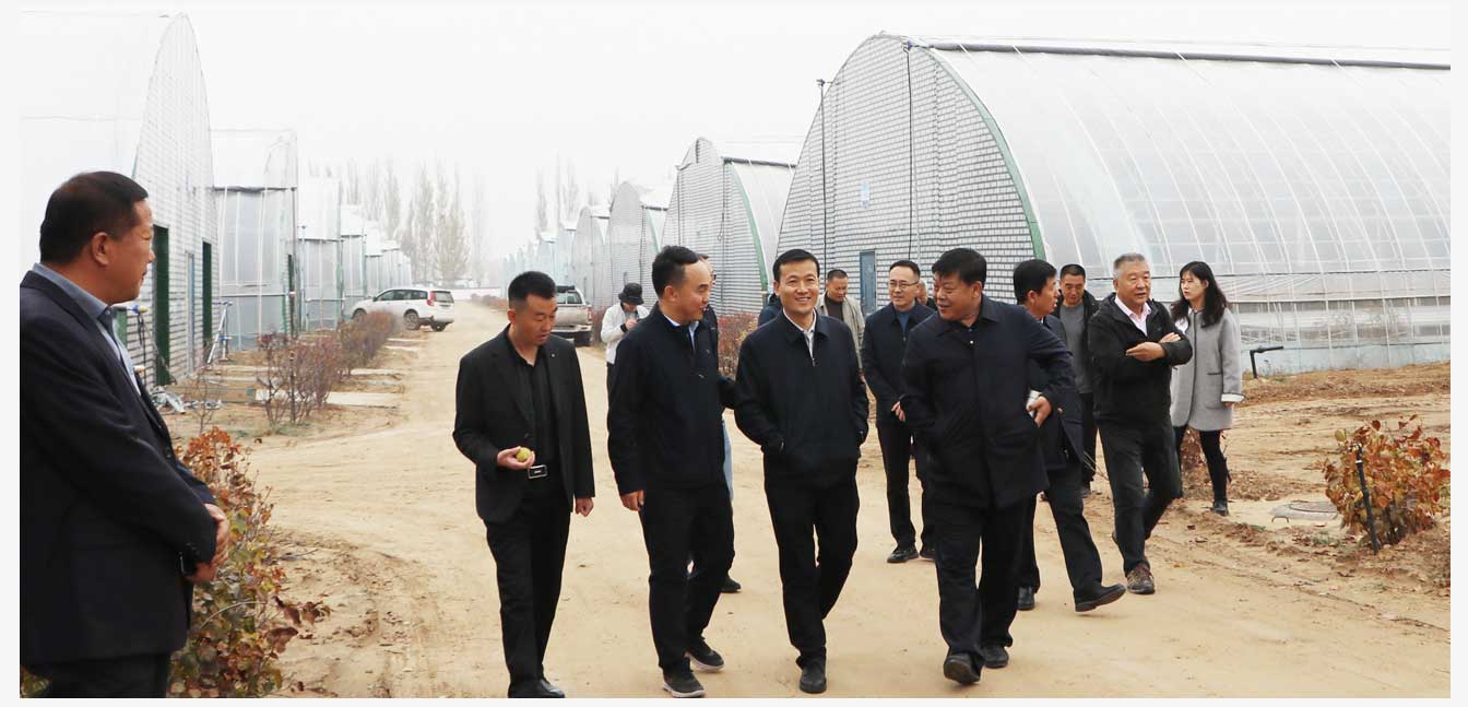 準(zhǔn)格爾旗現(xiàn)代智慧設(shè)施農(nóng)業(yè)產(chǎn)業(yè)園(網(wǎng)頁)_27.jpg 準(zhǔn)格爾旗現(xiàn)代智慧設(shè)施農(nóng)業(yè)產(chǎn)業(yè)園(網(wǎng)頁)_27.jpg