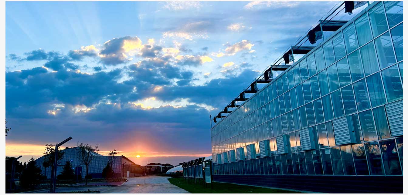 準(zhǔn)格爾旗現(xiàn)代智慧設(shè)施農(nóng)業(yè)產(chǎn)業(yè)園(網(wǎng)頁)_23.jpg 準(zhǔn)格爾旗現(xiàn)代智慧設(shè)施農(nóng)業(yè)產(chǎn)業(yè)園(網(wǎng)頁)_23.jpg