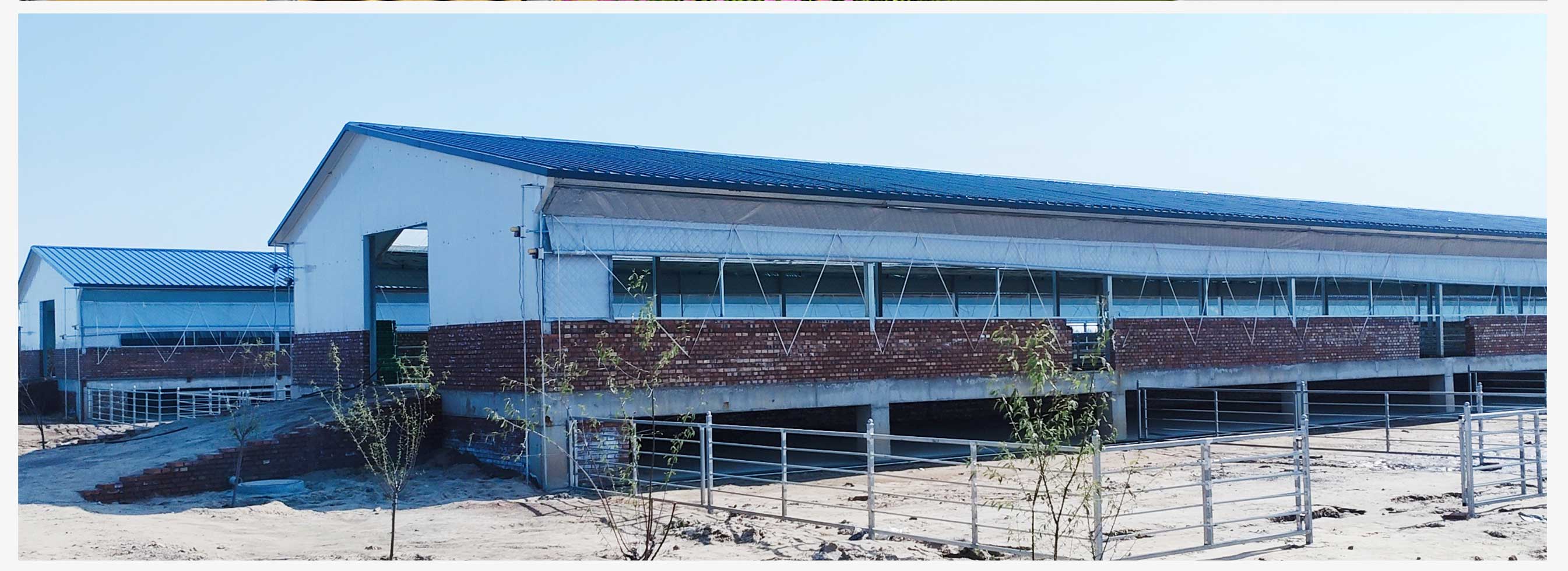 土默特右旗現代智慧設施肉羊產業技術創新園區(園區版)_07.jpg 土默特右旗現代智慧設施肉羊產業技術創新園區(園區版)_07.jpg