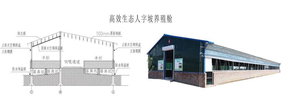 高效生態(tài)養(yǎng)殖艙_07.jpg